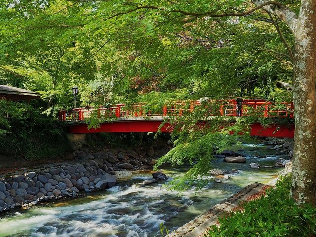 桂 橋_修善寺温泉