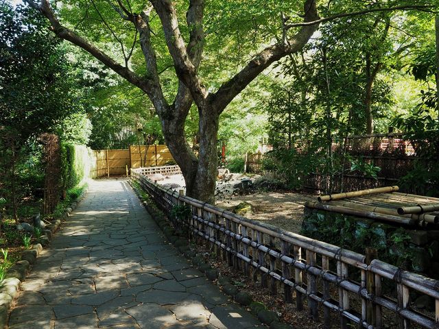 しゅぜんじ回廊_修善寺温泉