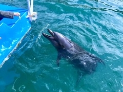 下田海中水族館の写真2