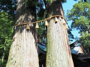 雷ちゃんさんの日枝神社の投稿写真1