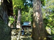 雷ちゃんさんの日枝神社の投稿写真4