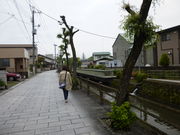 よっしゃんさんの巴波川綱手道の投稿写真1