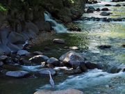 雷ちゃんさんの竹林の小径の投稿写真5