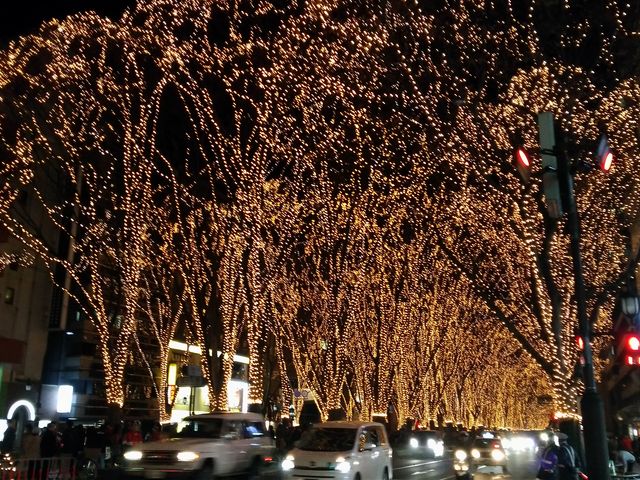 定禅寺通りのイルミネーション_定禅寺通