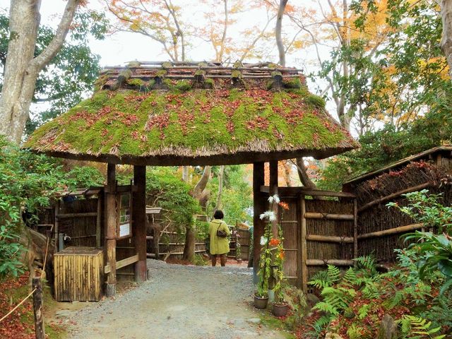 祇王寺_祇王寺