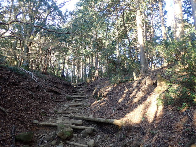 天城高原