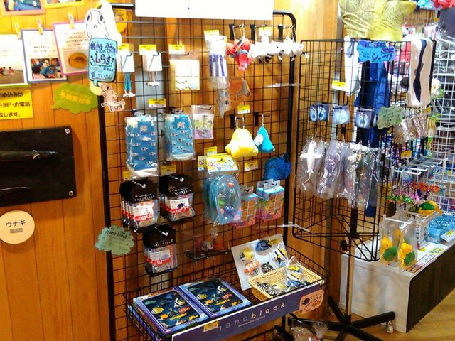 売店_浜名湖体験学習施設「ウォット」