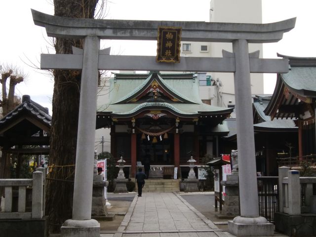 立派な鳥居です。_柏神社
