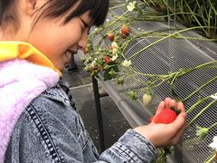 片平観光農園の写真1