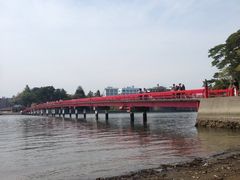 マヤバーさんの松島湾への投稿写真1