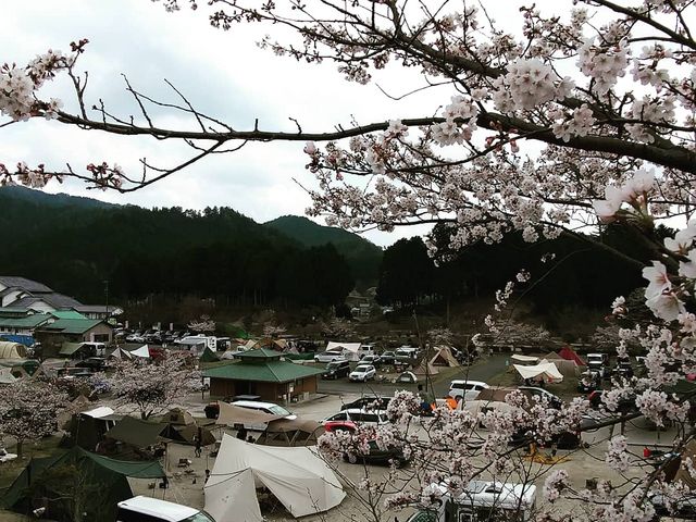 オートキャンプ場も併設されていて便利ですよ!_くしはら温泉ささゆりの湯