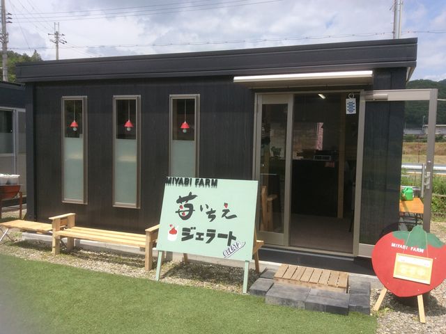 苺いちえジェラート_いちご農園 雅ファーム 苺いちえ