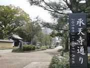 ぽんぽこさんの博多千年門の投稿写真2