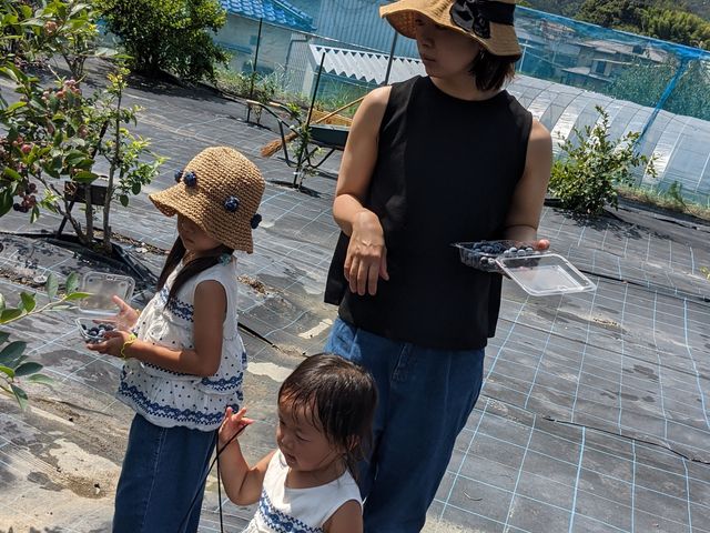 青空の下、ジューシーな甘いブルーベリーをもぎ取り、沢山頂きました。_中西農園