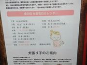 ひーちゃんさんの御嶽神社の投稿写真3