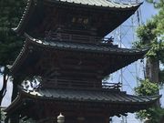 おりょうまこさんの成就院三重塔の投稿写真1