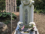 おりょうまこさんの成就院三重塔の投稿写真3