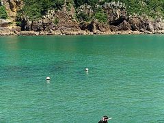 yoneさんのシーレックスへの投稿写真1