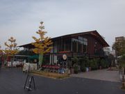 Yanwenliさんのてんしばの投稿写真2