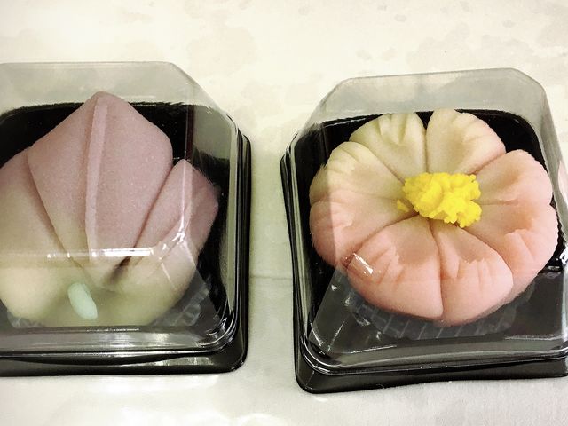 桔梗と秋桜_菓子処 まつもと
