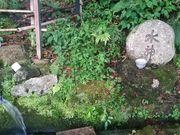 双葉としあきさんの「信州の名水・秘水」 一番清水の投稿写真3