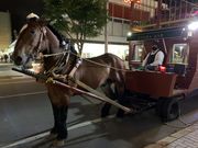 のんたんさんのホテルヌプカの投稿写真1