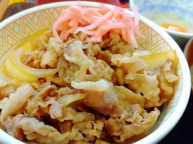 すき家の牛丼が一番旨い!_すき家 349号常陸太田店