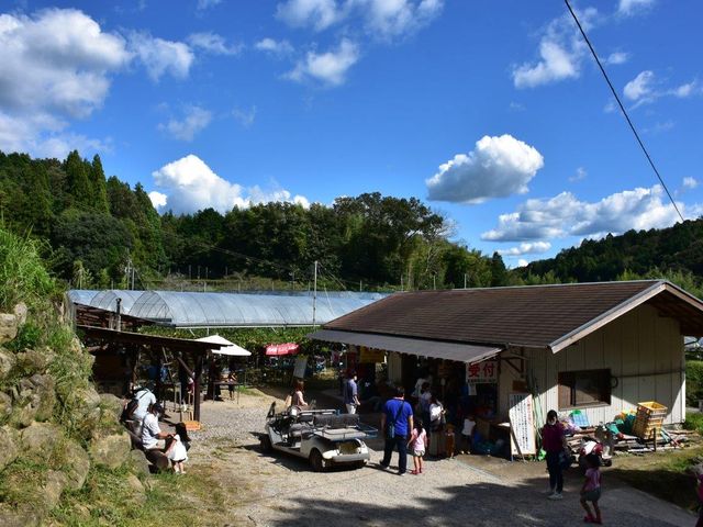 マル京果園 受付_マル京果園