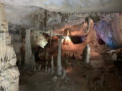 あぶくま洞の写真1