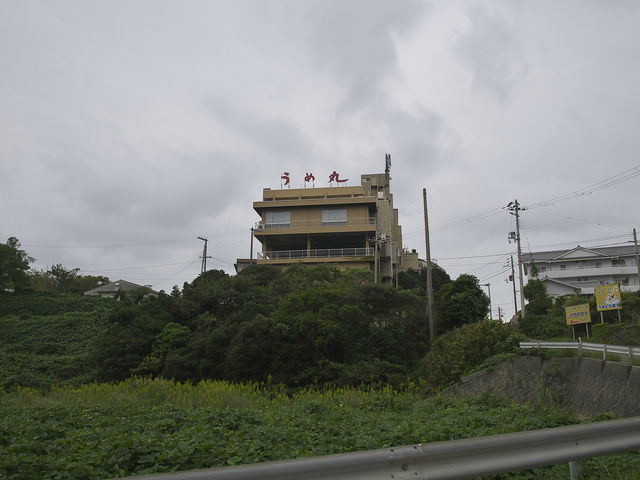うめ丸_うめ丸