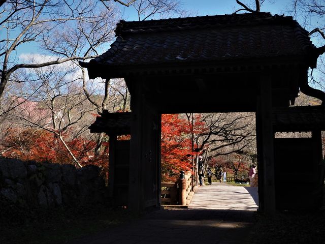 高遠城跡の紅葉002_高遠城跡