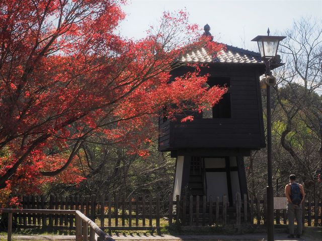 高遠城跡の紅葉004_高遠城跡