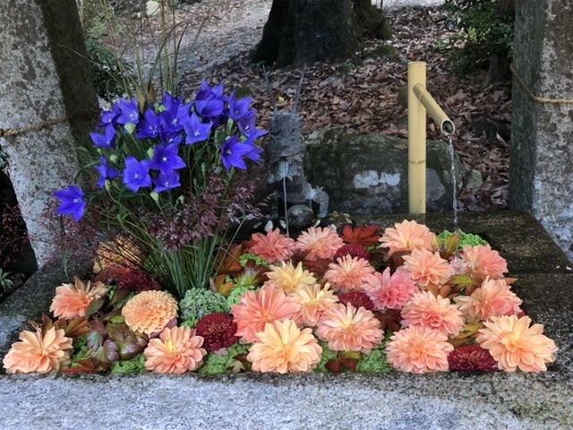 滋賀 日吉大社 西本宮 花手水_日吉大社