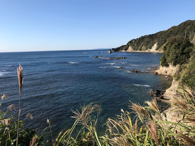 景色が綺麗なんだよね〜_勝浦〜小湊間の脇道