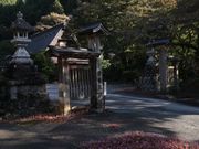 すぎうらさんの雲竜荘の投稿写真3