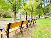 shinさんの舎人公園の投稿写真1