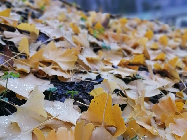 ダイちゃんさんの湯元共同浴場「山の湯」の投稿写真1