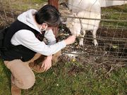 ダイちゃんさんの天野ファミリーファームの投稿写真1