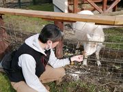 ダイちゃんさんの天野ファミリーファームの投稿写真1