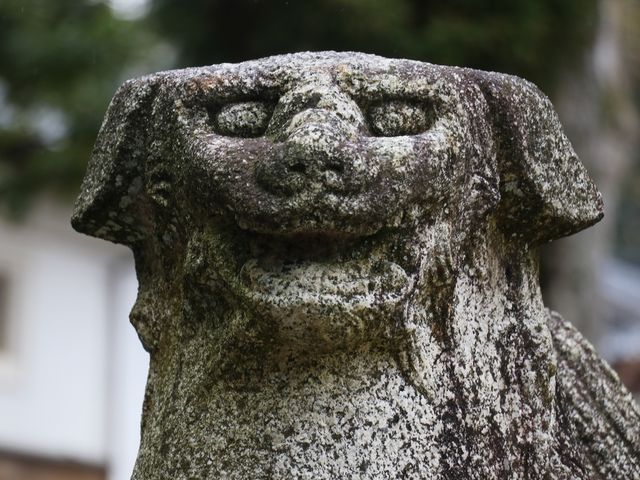 拝殿前の狛犬。_大宮売神社