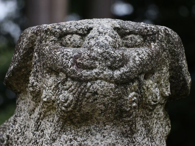 個性的でした。_大宮売神社