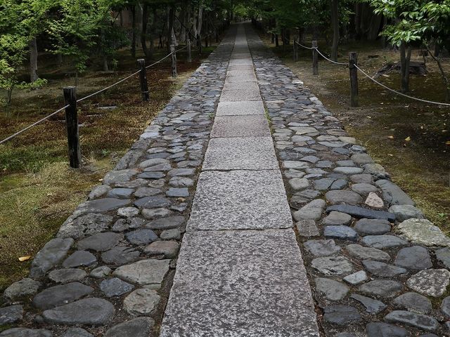 参道。_鹿王院