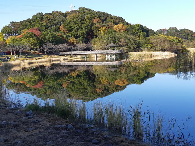 素敵な秋見つけました(*^^*)_21世紀の森と広場