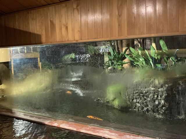 滝の湯鯉の泳ぐ庭園_大正屋