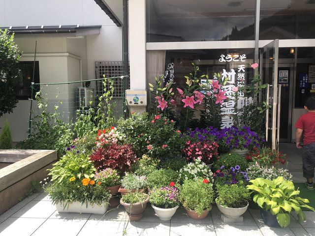 今年も沢山のお花がありました(^-^)v_村岡温泉