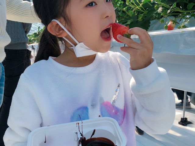 とにかく美味い!ハウスが綺麗!検温、消毒、シューズカバーまで完備してあり大満足でした!_アグリモンスタースペシャル