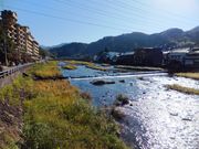 こぼらさんの三朝温泉 三徳川周辺の投稿写真1