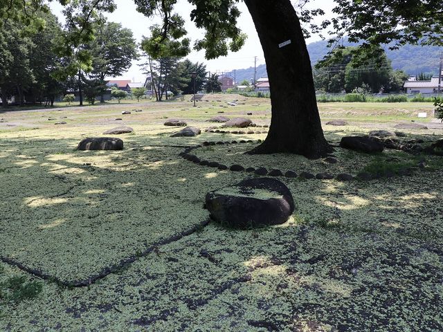 基壇と礎石が整備されています。_信濃国分寺跡史跡公園