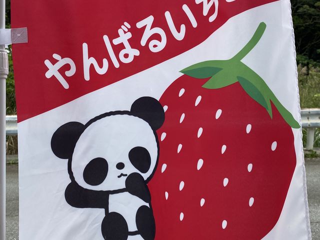 パンダが目印です_やんばるいちご園