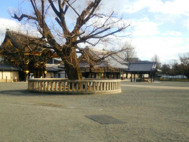 境内♪_西本願寺